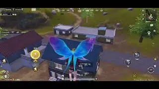 22 kill in Livik 
