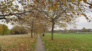Open Spaces in London #CrystalpalacePark #london #park #art #uk #christmas