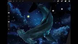 Drawing | Swim ft Hammerhead Shark, space