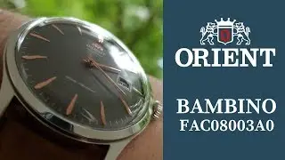 Recenzja: NAJLEPSZY ZEGAREK ELEGANCKI DO 1000 ZŁ TO ORIENT BAMBINO