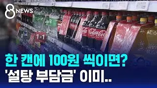 비만 잡으려다 줄줄이 인상?…설탕에 추가금 얼마나 / SBS 8뉴스