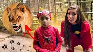 FUI VISITAR MEUS AMIGOS BICHOS NO ZOOLÓGICO