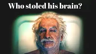 Why was his brain stolen?