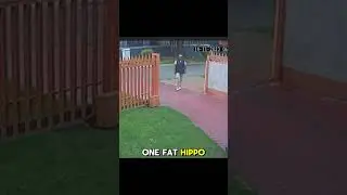 attempted robbery 🤯. #crime #roadtoo100subs #shorts