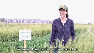 UK CGIAR Centre Conversations: Q&A with Anna Backhaus