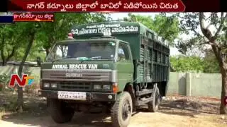 Forest Officers Rescue Leopard from Well in Kurnool District || NTV