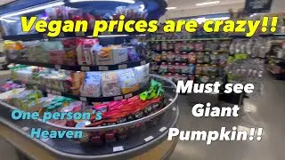 I&rsquo;m A Dummy!!! Giant Pumpkin, Heaven?! & Vegan Food! DailyVlog!
