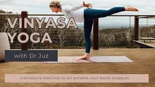 Vinyasa Yoga - a balancing practice, witness the half moon wobbles!