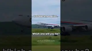 You became a pilot, Which one will you be? #aviation #avgeek #pilot #shorts