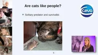 Cats and people getting the relationship right 1/6) Human cat social interact cats needs