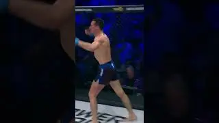 #throwback to this comeback by Borislav Nikolić 🤯Capturing Bantamweight title at #bravecf96 #mma