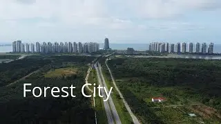 Forest City Johor | A Man-Made Island