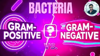 140 साल पुरानी Gram Staining Technique आज भी क्यूं जरूरी है? Gram Positive vs Gram Negative🦠Sajidsir