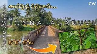 Jonnalagaruvu, Nadapanavaripalem Villages Walk | Telugu Countryside | Coastal Wayfarer