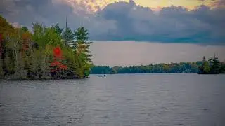 Sunflower Lake House on Big Clear Lake in Arden, ON