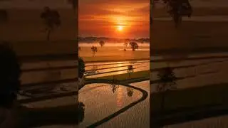 Ending the day in peace #sunsetvibes #rural