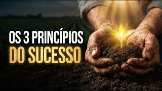 Como ter um 2026 de colheita: 3 princípios bíblicos infalíveis.