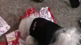 20091225-155149.mpg