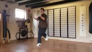 Kempo training by Patrick Baas - Sam Lung Martial Arts (11)