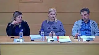 PLE ORDINARI 22/12/2025