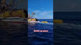 bunlot payaw #fishing #shortvideo #fishingboat