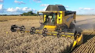 Tarwe Oogst 2022 met New Holland CX 8.70. Noordam- Ten Have Borgsweer.