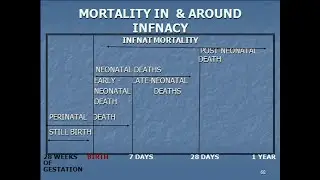 Perinatal Mortality Rate; reflects the number of stillbirths and early neonatal deaths