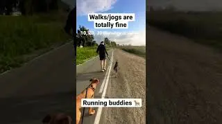Running Advice I Wish I Heard Sooner #shorts #running #beginners #dogs
