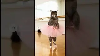 Cat Nails Ballet&hellip; Then Fails and Freezes