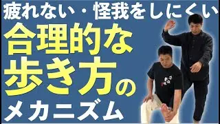 【歩き方のメカニズム】骨盤・腸腰筋・股関節・踵の合理的な使い方