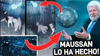 MAUSSAN ANUNCIA QUE ABRIRA LA ESFERA DE BUGA/ 2 PERRITOS ATACA A UN ORBE EN EL PATIO.