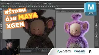 ทำขน ด้วย MAYA XGEN