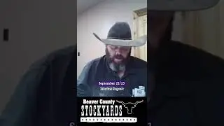 September 22/23 Market Report