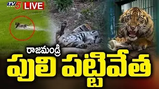 Live: బోనులో పెద్దపులి | Rajahmundry Tiger Caught And Being Shifted Safely || TV5 News