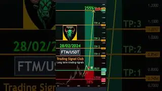 Maximize Profits with Fantom Free Long-Term FTM Network Analysis