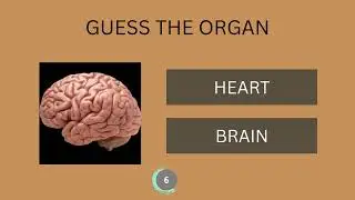 GUESS THE ORGAN