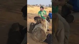 Namibia Afrika Africa #music #rock #newwave