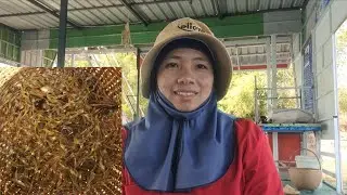#ซ่อนกุ้งฝอย วันนี้อากาศเริ่มอุ่นกุ้งเริ่มไม่ค่อยเข้าฝั่งแล้ว แต่ก็ยังหมานเหมือนเดิมค่ะ