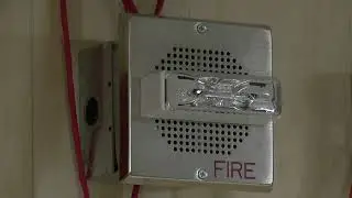 A Fire Alarm Only the Young Will Understand (Gen Z/Alpha Voice Evac)