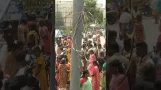 baerikari muruger temple kovil function #divine