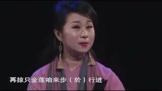 泉州南音《趁賞花燈》演唱 莊麗芬