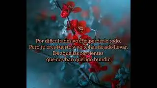 Contra viento y marea - Darío Gómez (letra)