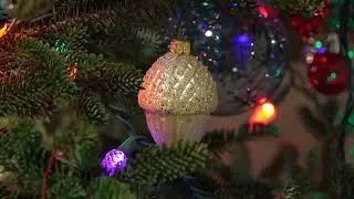 Christmas with 113