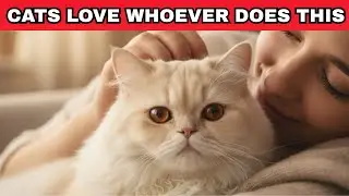 Talk to your cat this way, and it will understand you INSTANTLY.