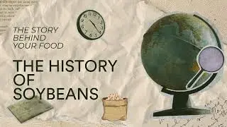The Story Behind Your Food: The History of Soybean | Urban Farms Co.