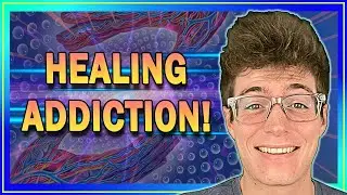 Treat Addiction & Cure Withdrawal Symptoms With These Supplements! // Reset Your Tolerance!