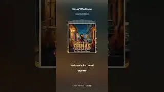 Serías V1Tn timba