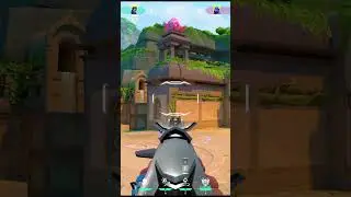 Best Yoru flash on Lotus Pt. 41