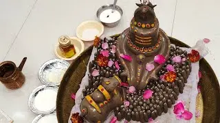 Astrologer - संदीप कृष्ण शास्त्री जी (काशी वाले)is Live || Astrology || Kundli Consultation || Astro