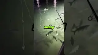 Shadow Line Snook! Bridge Night Fishing Hack #Shorts #FishingUSA #SeaHunterShorts